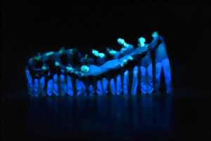 photo Le Temps d'Aimer la Danse 2025 - Dantzaz - Hona