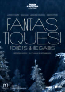 photo Fantastiques ! Forêts & Regards !