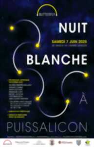 photo NUIT BLANCHE Á PUISSALICON