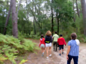 photo Explorez la forêt avec l'ONF