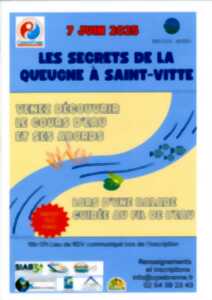 photo Les secrets de la Queugne à Saint Vitte