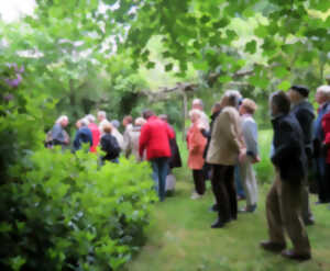photo Déambulation dans le jardin des Vitailles