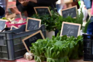photo Marché à Saint-Cirq Lapopie