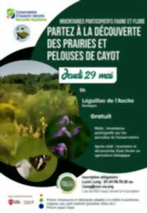 photo Inventaire participatif Faune et Flore