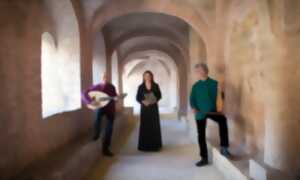 photo FESTIVAL MUSICAL DU PAYS D'ART ET D'HISTOIRE