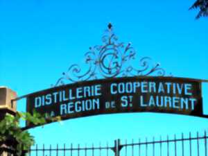 photo LES JEUDIS DE LA DISTILLERIE - SON CARIBE SALSA