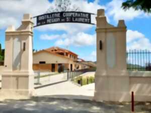 photo LES JEUDIS DE LA DISTILLERIE - LADY SCOTT