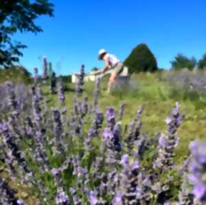 photo Visite : distillerie de Pargade