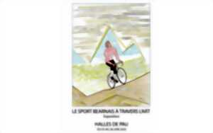 photo Le sport béarnais à travers l'art