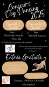 photo Concours Dog Dancing : Club Canin Saint Linois