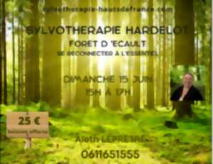 photo Sylvothérapie Hardelot Golf des Pins
