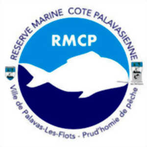 photo ATELIERS CRÉATIFS DE LA RÉSERVE MARINE CÔTE PALAVASIENNE