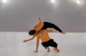 photo Le Temps d'Aimer la Danse - Emilie Camacho Cie Projet ra.re / collectif rabbit research - Retour à Itak (Création)