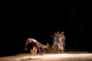 photo Le Temps d'Aimer la Danse - Cie Sous la peau / Claude Brumachon & Benjamin Lamarche - Hors Normes (Création)