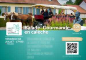 photo Balade en calèche - 18 juillet