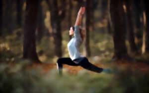 photo Yoga et brunch en forêt d'Iraty