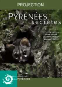 photo Projection : Pyrénées Secrètes, la Genette