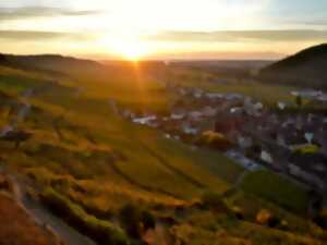 photo Balade dans le Schlossberg et dégustation de vins de terroirs