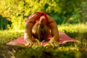 photo Yoga bien-être