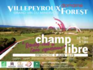 photo RENDEZ-VOUS EN TERRE VIGNERONNE, CHAMP LIBRE