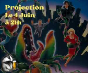 photo Projection: La Petite Boutique des Horreurs