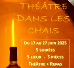 photo Théâtre dans les chais : L'invité