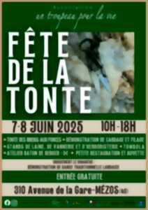 photo Fête de la tonte