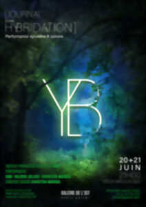 photo YB - Journal d'une hybridation