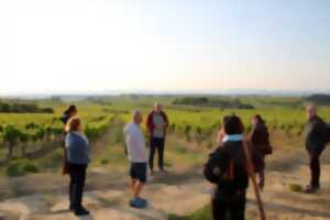 photo GOLDEN HOUR AU DOMAINE