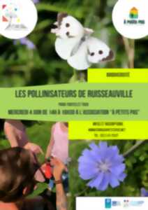 photo Les pollinisateurs de Ruisseauville