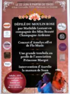 photo Défilé du Moulin Rose à Villenauxe-la-Grande