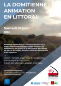 photo ATTENTION SABLES VIVANTS !