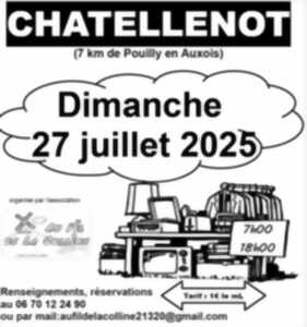 photo Vide-greniers- Chatellenot