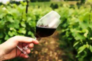 photo FESTIVAL DES VINS D'ANIANE