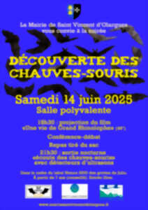 photo DÉCOUVERTE DES CHAUVES-SOURIS