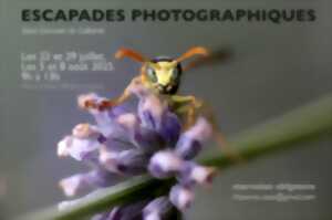 photo ESCAPADES PHOTOGRAPHIQUES