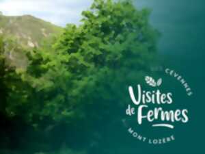 photo VISITES DE FERMES 2025 : VERGER D'AUTOMNE