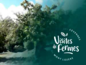 photo VISITES DE FERMES 2025 : LES CHATAIGNERAIES DE MATTHIAS