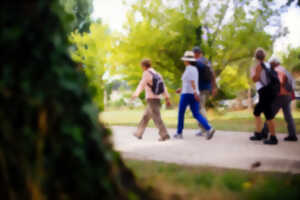 photo Marche découverte de l'environnement à Parentis-en-Born