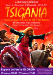photo Spectacle Tsigania