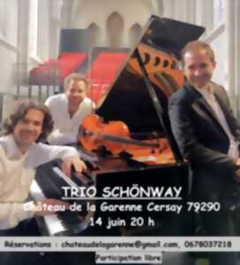 photo Concert Musique au salon avec le trio Schönway