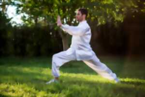 photo Stage d'été de QI GONG