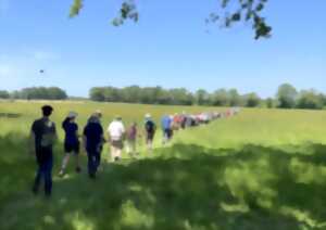 photo Procession de Neuf lieues