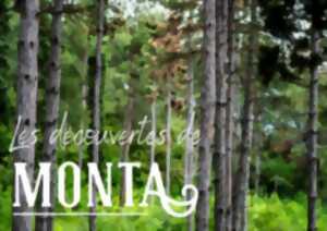 photo Au coeur de la forêt médocaine
