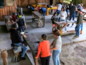 photo Atelier bois parents-enfants