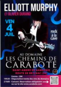 photo ROCK À LA CAVE ! CONCERT D'ELLIOTT MURPHY ET OLIVIER DURAND