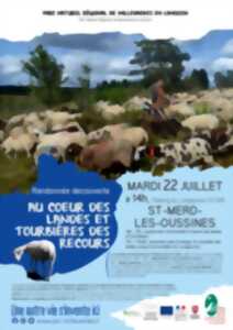photo Randonnée découverte au coeur des Landes et Tourbières des recours