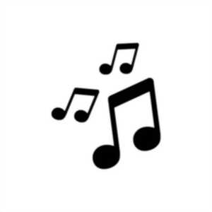 photo Fête de la Musique