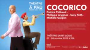 photo Théâtre à Pau - Cocorico