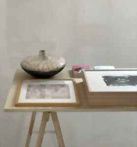 photo Nouvel accrochage rudéral atelier / galerie - Limoges